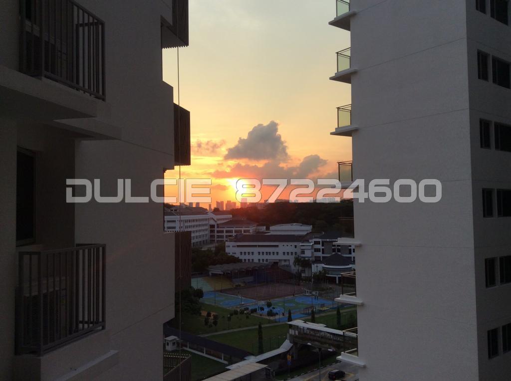 Bartley Residences (D19), Apartment #101803942